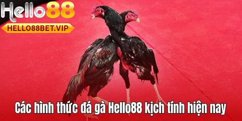 Các hình thức Đá Gà siêu Hot tại HELLO88