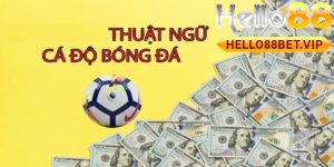 các thuật ngữ Cá Độ Bóng Đá