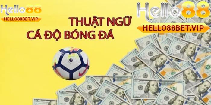 các thuật ngữ Cá Độ Bóng Đá