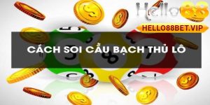 Hướng Dẫn Cách Bắt Lô Bạch Thủ Hiệu Quả