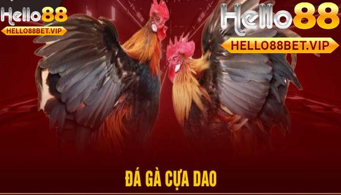 Tổng Quan Về Đá Gà Cựa Dao Tại HELLO88
