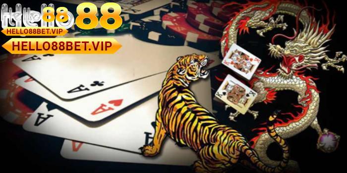 Các thuật ngữ Rồng Hổ tại HELLO88